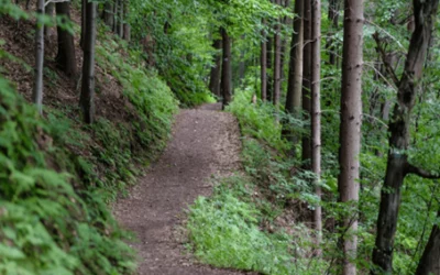 Hiking: A No-Cost Adventure